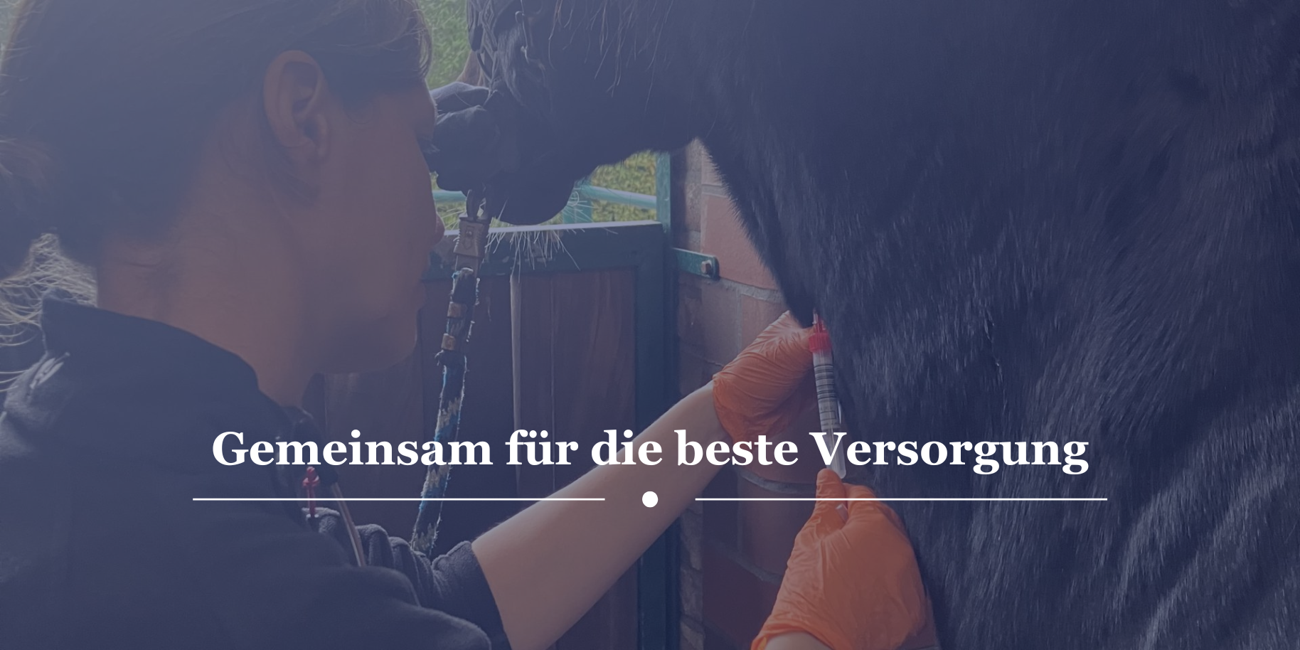 Teaserbild Tierärztliche Praxis Dr. Pelz